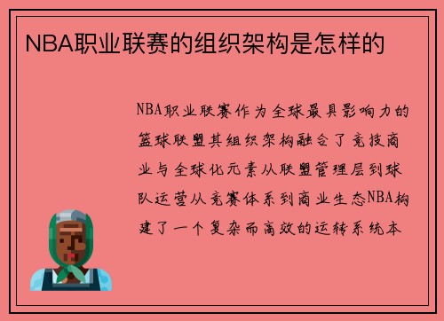 NBA职业联赛的组织架构是怎样的